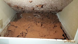 Infinity Pest Management place picture